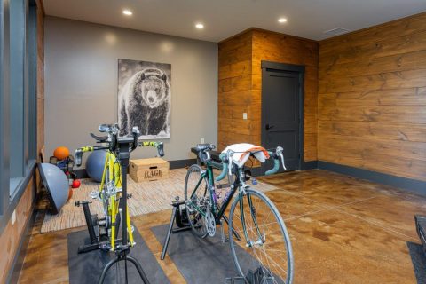 Home gym in Black Mountain, North Carolina.
