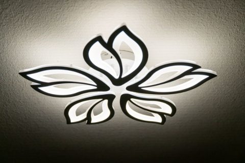 Unique light fixture